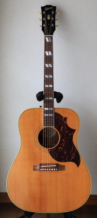 Gibson Sheril Crow Signature Model